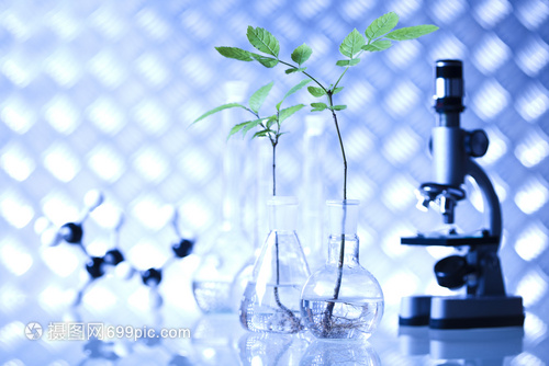 實驗室生物有機現(xiàn)代概念在生物研究中的核心應(yīng)用