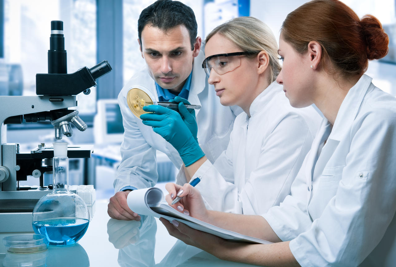 實驗室檢測素材全攻略 生物研究中的圖片資源獲取與運用