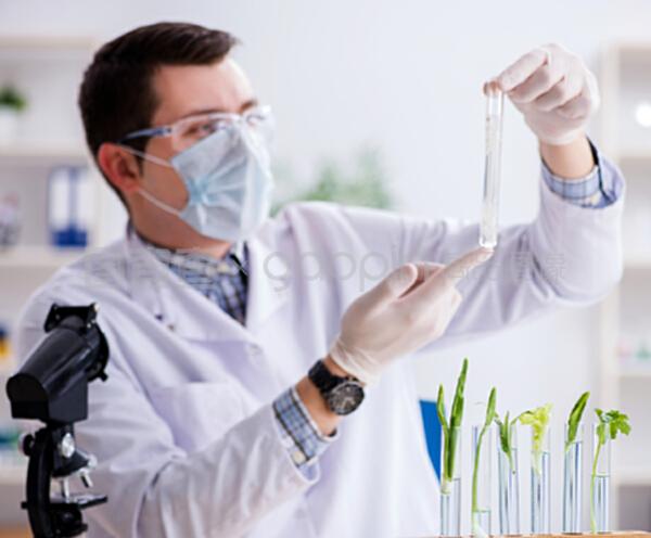 探索生命綠洲 植物男生物化學(xué)家的科研之旅