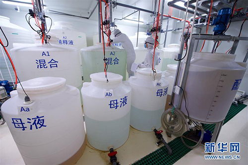 探索生命奧秘 中國科學(xué)院植物研究所的生物研究前沿