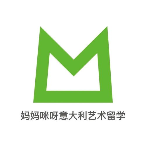 m翻譯版 都靈理工大學2020國際生 2021計劃生招生人數出爐,他來了