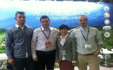 英語(yǔ)陪同翻譯怎么收費(fèi)_正規(guī)翻譯機(jī)構(gòu)